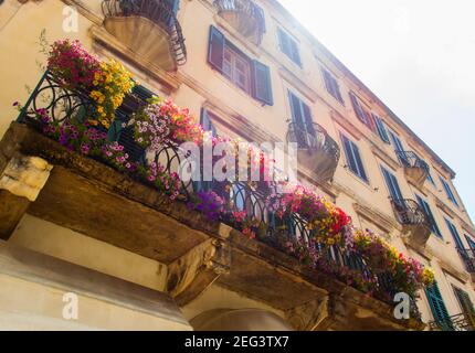 Kator Котор Kotor ist eine Küstenstadt in Montenegro. Golf von Kotor. Foto Phil Wilkinson / Alamy Stockfoto