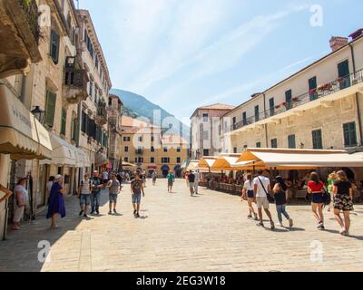 Kator Котор Kotor ist eine Küstenstadt in Montenegro. Golf von Kotor. Foto Phil Wilkinson / Alamy Stockfoto