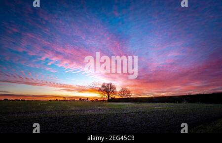 Spektakulärer Wintersonnenaufgang über flachem Ackerland Stockfoto