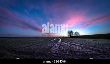 Spektakulärer Wintersonnenaufgang über flachem Ackerland Stockfoto