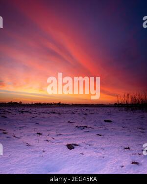 Spektakulärer Wintersonnenaufgang über flachem Ackerland Stockfoto