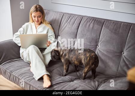 Bulldog riecht eine Frau mit Laptop auf dem Bett Stockfoto