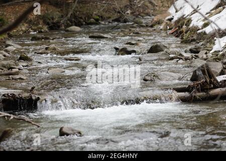 Artikeldetails mit dem klaren Wasser eines fliessenden Gebirgsbaches während eines kalten und sonnigen Wintertages in den rumänischen Karpaten. Stockfoto
