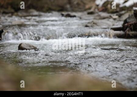 Artikeldetails mit dem klaren Wasser eines fliessenden Gebirgsbaches während eines kalten und sonnigen Wintertages in den rumänischen Karpaten. Stockfoto