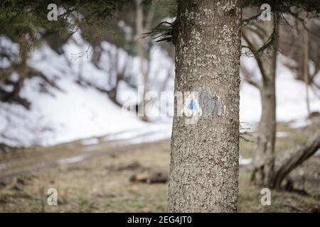 Details eines Wanderweges Schild auf einer Tanne in einem Wald aus den rumänischen Karpaten. Stockfoto