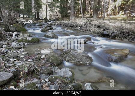 Artikeldetails mit dem klaren Wasser eines fliessenden Gebirgsbaches Während eines kalten und sonnigen Wintertages in der rumänischen Karpaten (lange Belichtungszeit) Stockfoto