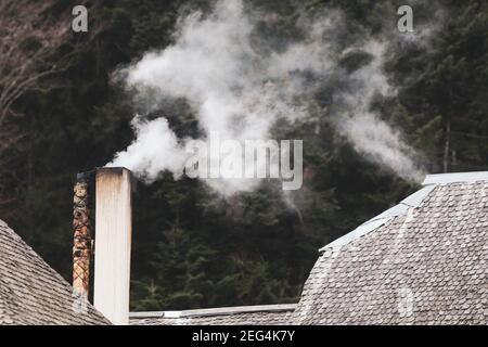 Rauchkamin mit einem Kegelwald im Hintergrund, in einem Berggebiet von Rumänien während eines nebligen und kalten frühen Wintertages. Stockfoto