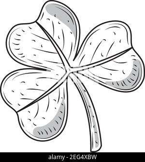 shamrock Natur Pflanze Blätter Symbol Skizze isoliert Vektor Illustration Stock Vektor