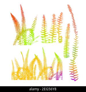 Bunte Farnblätter. Vektorgrafik Stock Vektor