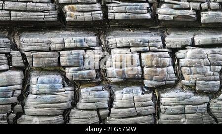 Hintergrund verbranntes Holz (nicht zerstört), auf der Oberfläche gebrannt log, Holzkohle Stockfoto