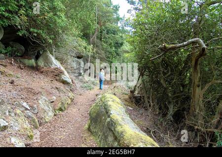 Cragside Northumberland UK Rocky Area blondes Mädchen, das mit Rucksack auf dem Land mit Felsbrocken und Felsen spaziert, mit grünen Bäumen Stockfoto