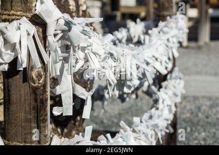 Nahaufnahme von Hunderten von Omikuji-Papier-Fotrune, die in einem Shinto-Schrein in Kyoto, Japan, an die Schnur gebunden sind Stockfoto