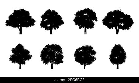 Set von Silhouette Design von Bäumen mit schwarzer Farbe auf Isolationsstil für Grafikdesigner, Vektorgrafik Stock Vektor