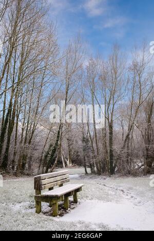 Eine Holzbank neben einem Waldspaziergang an einem kalten Wintertag mit leichtem Schneestauben. Stockfoto