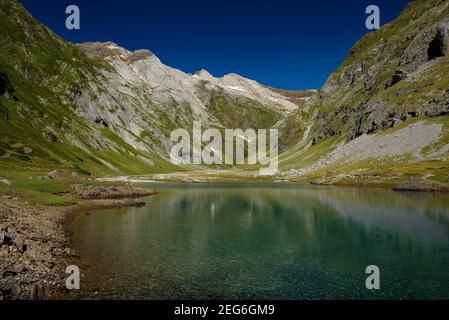 Vignemale-Massiv im Sommer vom Barrage d'Ossoue (Sumpf) aus gesehen (Nationalpark der Pyrenäen, Cauterets, Frankreich) Stockfoto