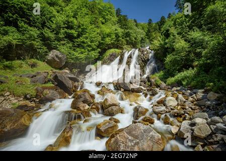 Wasserfall und Fluss Lotour in Cauterets im Sommer (Cauterets, Nationalpark der Pyrenäen, Frankreich) Stockfoto