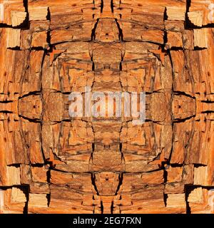 Kaleidoskop aus versteinertem Holz Stockfoto