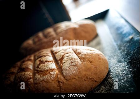 Frisches hausgemachtes knuspriges Brot Stockfoto