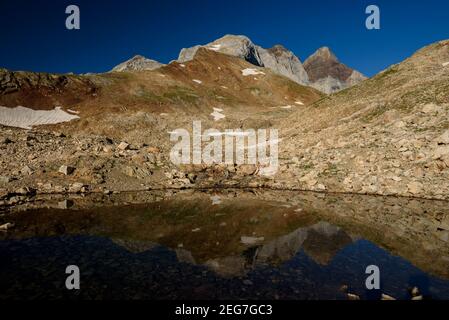 Vignemale an einem Sommermorgen von der Bayssellance Hütte aus gesehen (Nationalpark der Pyrenäen, Cauterets, Frankreich) Stockfoto