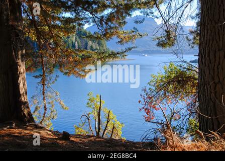 Panoramablick auf einen Bergsee unter den Bäumen in Bariloche, Argentinien. Stockfoto