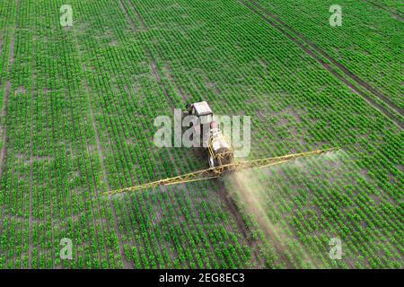 Der Traktor sprüht Pflanzen mit Herbiziden, Insektiziden und Pestiziden. Stockfoto