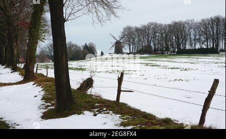 Die alte Windmühle auf dem Hügel ist im Hintergrund zu sehen. Eine schneebedeckte Wiese, ein Stacheldrahtzaun und einige Bäume davor. Eine Winterlandschaft in Deutschland Stockfoto
