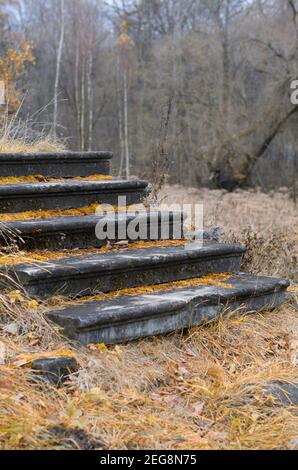 Fünfstufige Treppe mit Moos bedeckt und mit Gras überwuchert Der Herbstpark Stockfoto