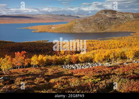 Blick von Saanatunturi Stockfoto