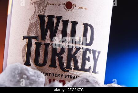 POZNAN, POL - 27. JAN 2021: Bottle of Wild Turkey, eine Marke von Kentucky Straight Bourbon Whiskey produziert von der Austin Nichols Division von Campari Gro Stockfoto