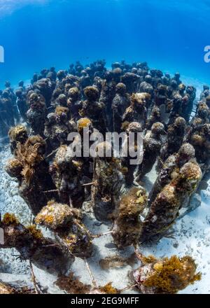 Statuen des Underwater Museum of Art, Cancun, Yucatan Peninsula, Australien Stockfoto