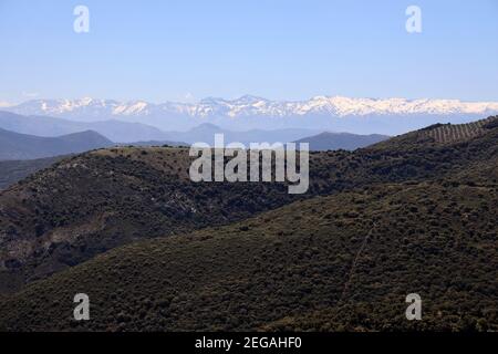 Sierra Nevada Bergkette von Hoya del Salobral, Andalusien, Spanien. Schneebedeckte Gipfel des touristischen Skigebiets. Eichenwälder im Vordergrund. Stockfoto