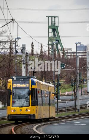 Straßenbahn der Ruhrbahn, Linie 109, auf dem Berthold-Beitz-Boulevard, hinten der kurvenreiche Turm des ehemaligen Kohlebergwerks Schacht Amalie, Essen, NRW, Stockfoto