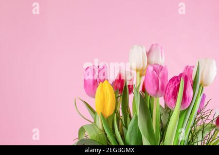 Schöne bunte Tulpen auf hellrosa Hintergrund mit Platz für Text kopieren. Entwurf für Grußkarte - Muttertag, Frauentag, 8. März oder Valentinstag Stockfoto