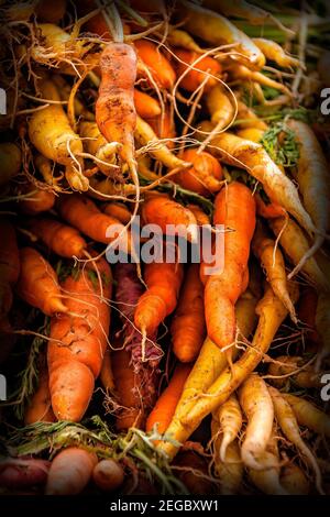 Nahaufnahme von großen Haufen von frischen Karotten mit Wurzeln und Grüns dicht gestapelt auf lokalen Bauern Markt stehen. Stockfoto