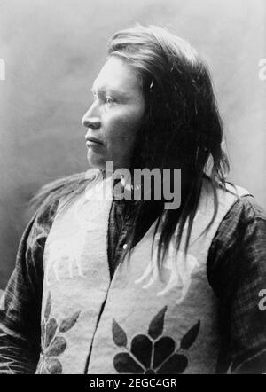 Gelber Wolf, 30. Dezember 1909 Stockfoto