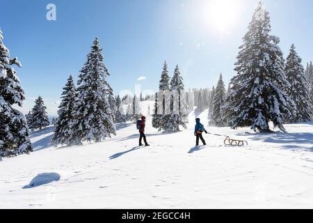 Mutter und Sohn schleppen einen Schlitten im Schnee, Wintermärchenlandschaft in Velika planina, Slowenien Stockfoto