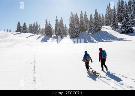 Mutter und Sohn schleppen einen Schlitten im Schnee, Wintermärchenlandschaft in Velika planina, Slowenien Stockfoto