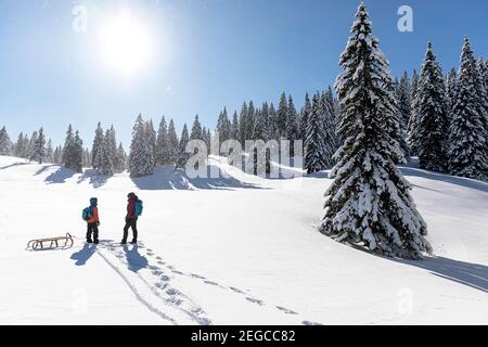 Mutter und Sohn schleppen einen Schlitten im Schnee, Wintermärchenlandschaft in Velika planina, Slowenien Stockfoto