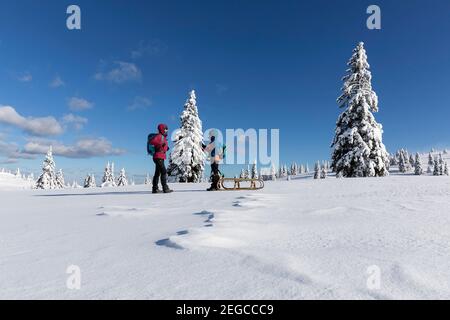 Mutter und Sohn schleppen einen Schlitten im Schnee, Wintermärchenlandschaft, Slowenien Stockfoto