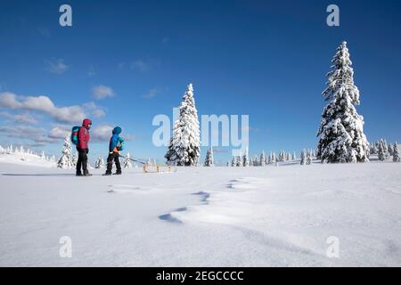 Mutter und Sohn schleppen einen Schlitten im Schnee, Wintermärchenlandschaft, Slowenien Stockfoto