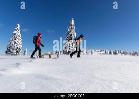 Mutter und Sohn schleppen einen Schlitten im Schnee, Wintermärchenlandschaft in Velika planina, Slowenien Stockfoto