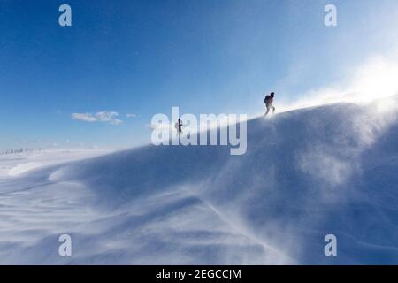 Mutter und Kind wandern bergauf auf auf verschneite Landschaft bei windigen Bedingungen und Schnee in der Luft, Slowenien Stockfoto