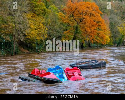 Schwere Überschwemmungen durch den Fluss Derwent platzen seine Ufer verursacht In Matlock Bath Derbyshire Peak District England im November 2019 Stockfoto