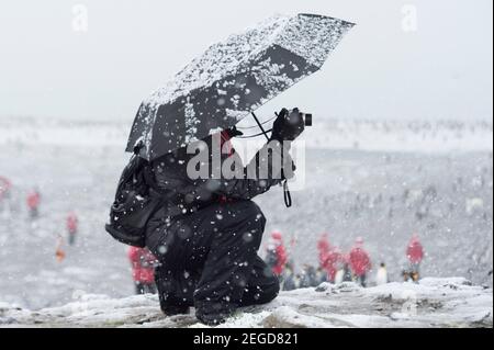 Tourist, Fotograf macht Bilder im Schnee in St Andrews Bucht Süd-georgia Stockfoto