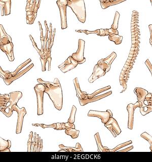 Menschliche Gelenke und Körperteile Knochen nahtlose Muster. Vektor Skizze Wirbelsäule Becken, Bein Knie oder Schulter Schulterpfüle und Ellbogen, Arm und Hand Handgelenk mit Finger Stock Vektor