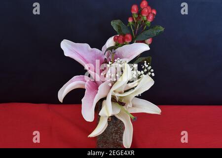 Eine Vielzahl von Blumen, Knospen und Blättern in einem bunten Indoor-Anordnung mit selektiver Unschärfe -06 Stockfoto