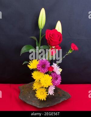 Eine Vielzahl von Blumen, Knospen und Blättern in einem bunten Indoor-Anordnung mit selektiver Unschärfe -08 Stockfoto