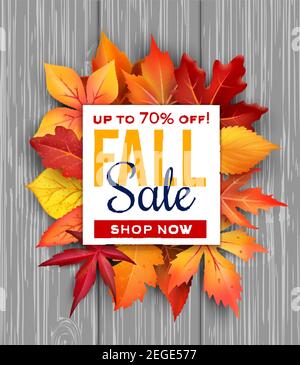 Herbst Verkauf Poster von Herbst Laub Haufen auf Holzhintergrund für saisonale Shop Rabatt Promo. Vektor-Design von Ahorn, Kastanie oder Pappel und Eiche lea Stock Vektor
