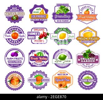 Frisches Obst und Beeren Label Set. Apfel, Orange und Birne, Zitrone, Pfirsich und Wassermelone, Traube, Pflaume und Kiwi, Aprikose, Melone und Granatapfel frisches Obst Stock Vektor