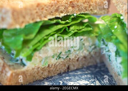 Thunfisch-Salat-Sandwich auf Vollkornbrot mit Salat. Stockfoto